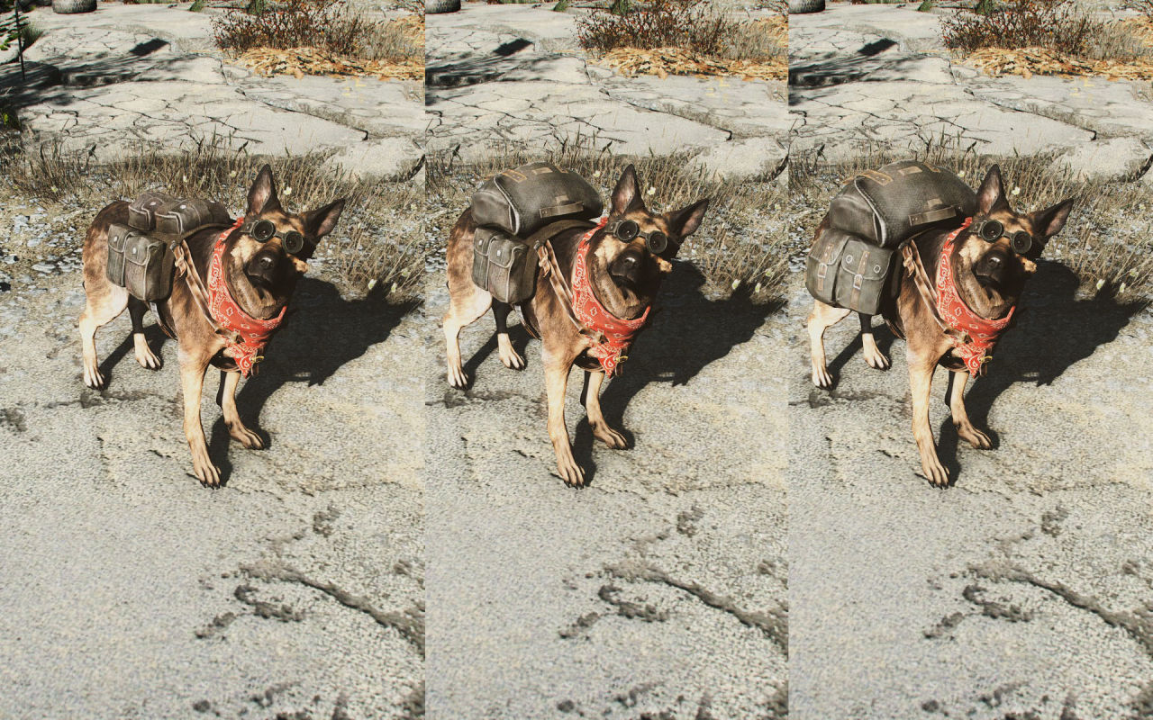 Fallout 4 как одеть ошейник на собаку фото 104