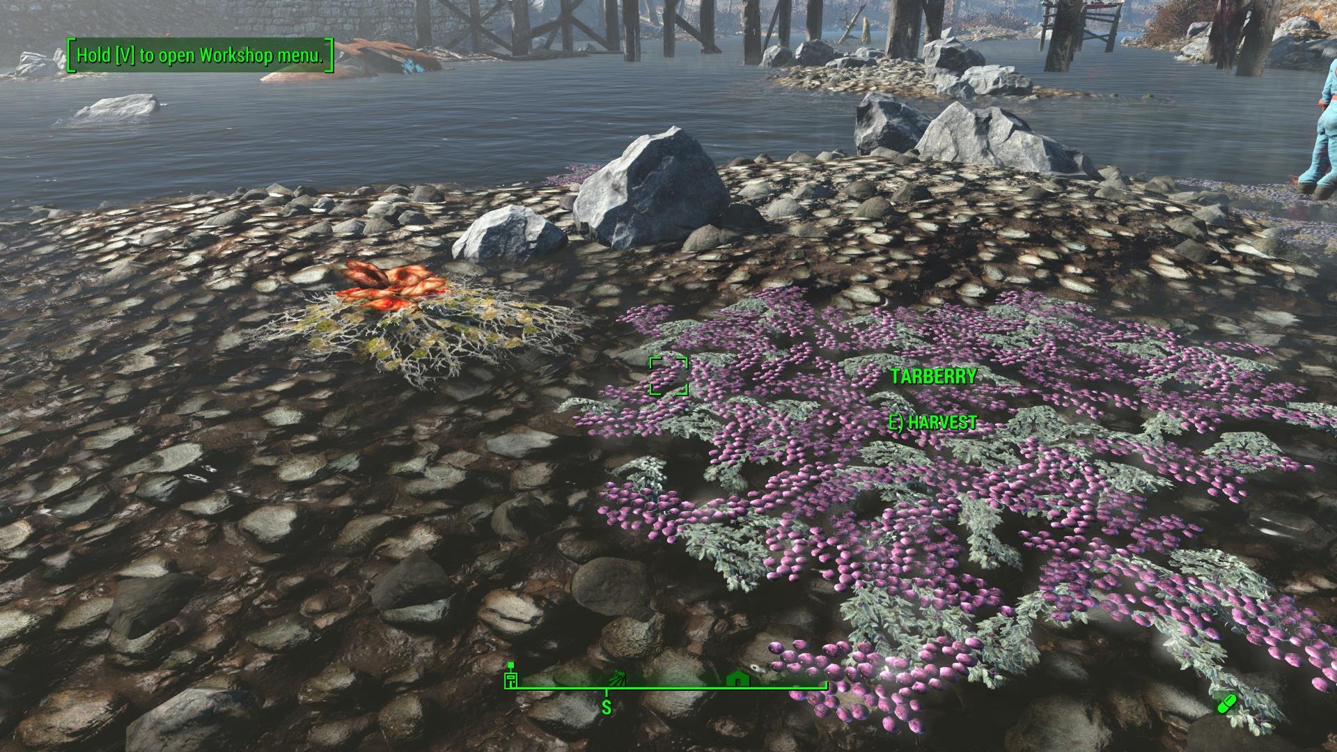 Fallout 4 advanced workshop food harvesting