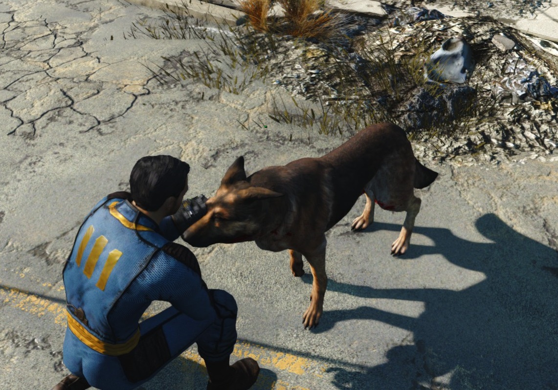 Pet Call Feed Dogmeat 日本語化対応 仲間 コンパニオン Fallout4 Mod データベース Mod紹介 まとめサイト