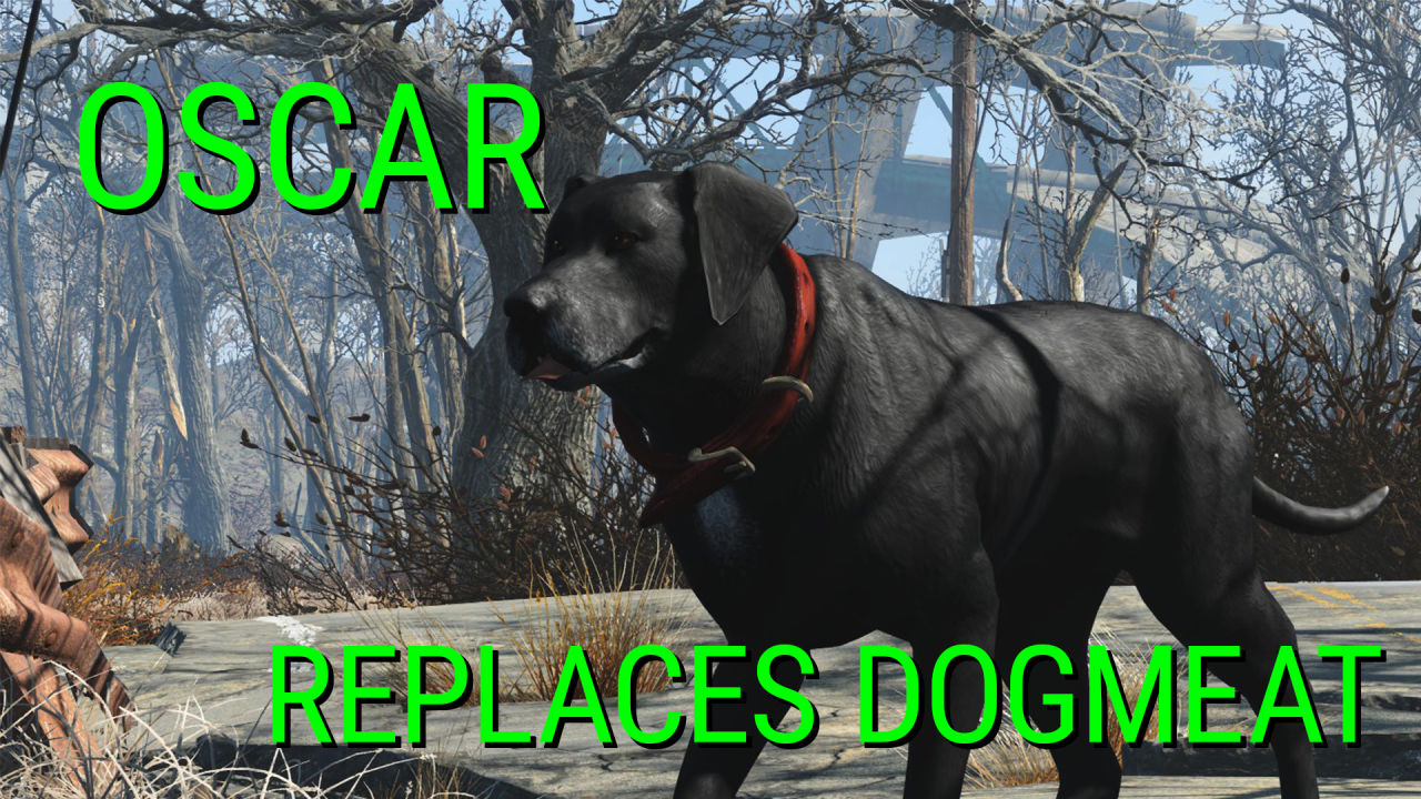 Oscar Dogmeat Replacement Classic 仲間 コンパニオン Fallout4 Mod データベース Mod紹介 まとめサイト