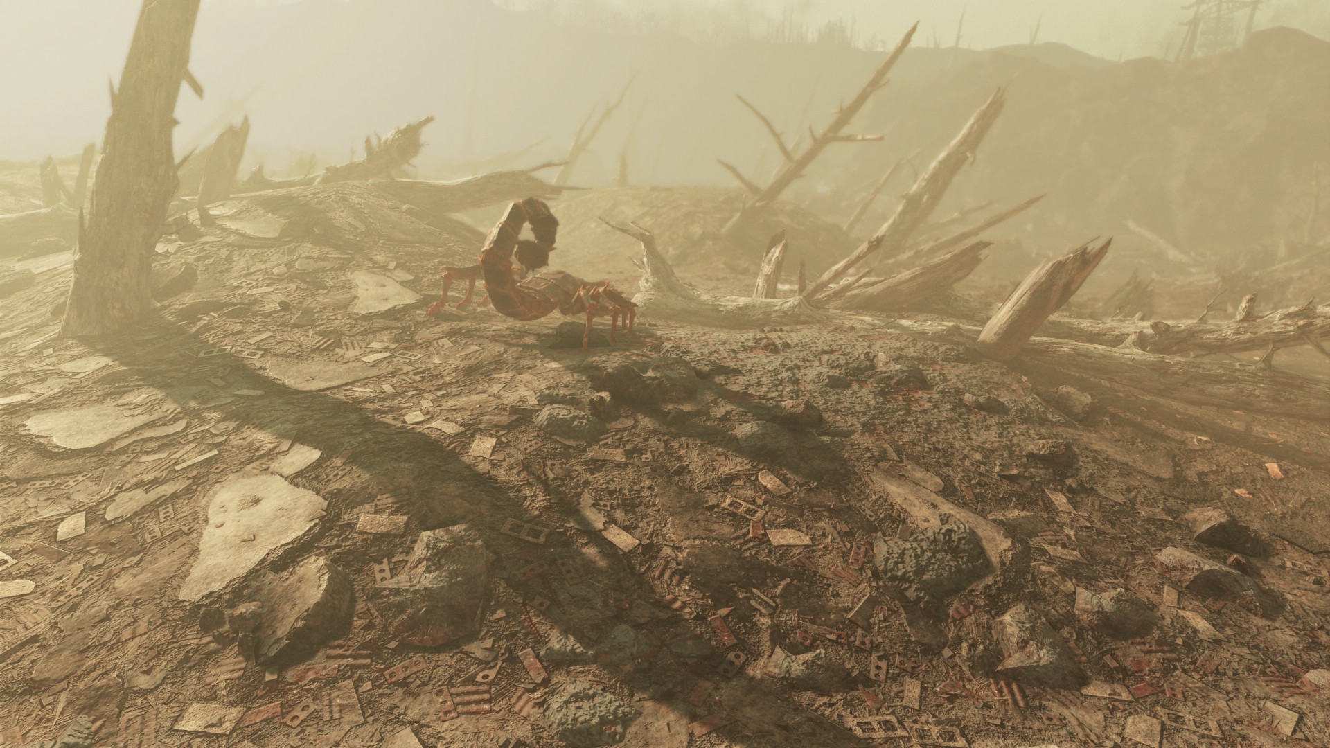 Fallout 4 natural landscapes 2k 4k фото 2