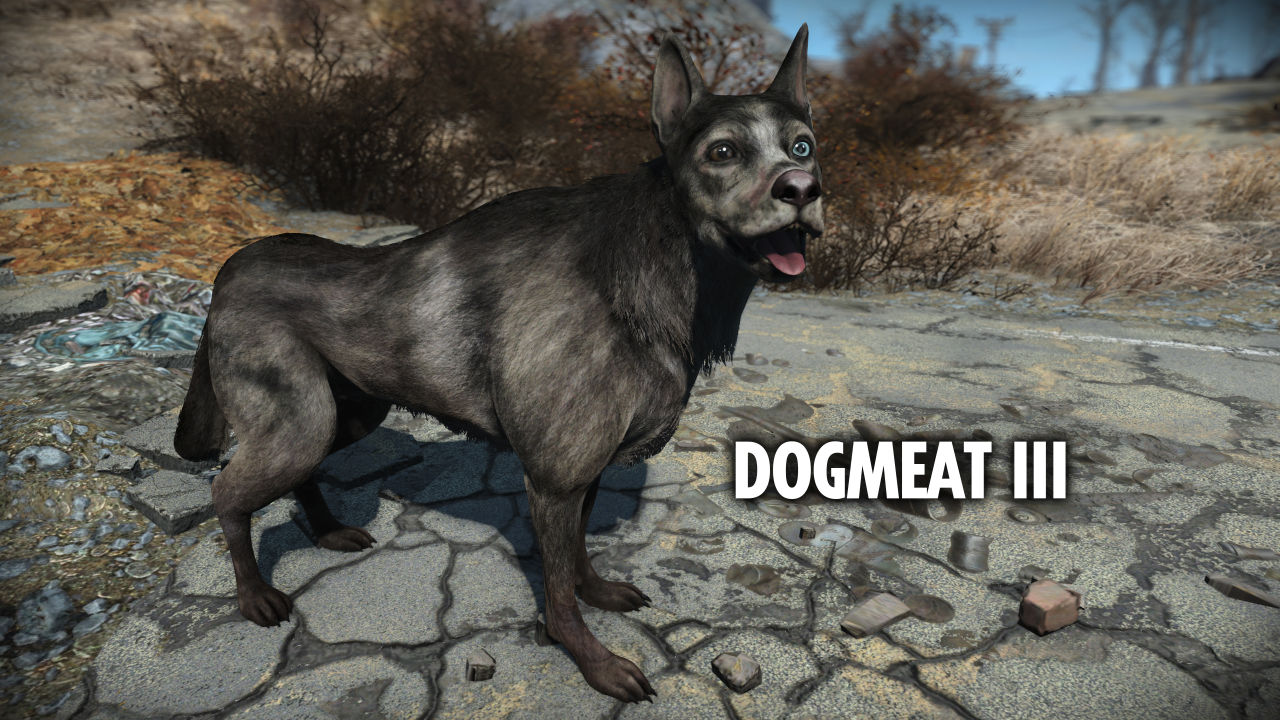 dogmeat fallout 4 mod