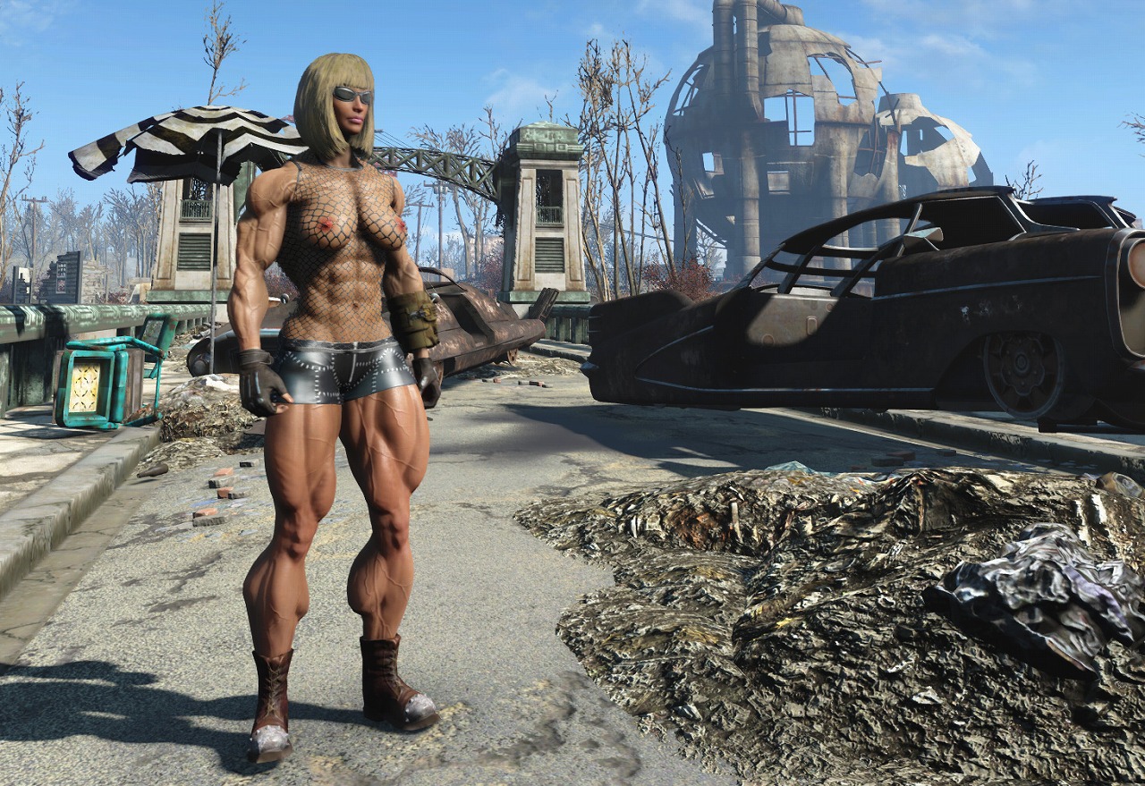 Fallout 4 fsm body фото 95