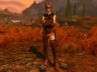 Circulated In Skyrim Core Files (CISCore) - Downloads - Skyrim Non Adult Mods - LoversLab