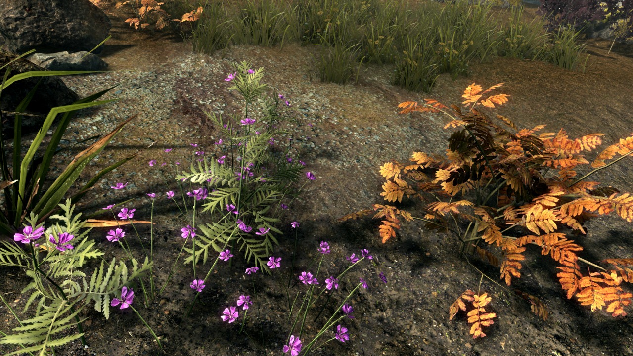 Skyrim 3d Trees And Plants モデル テクスチャ Skyrim Special Edition Mod データベース Mod紹介 まとめサイト