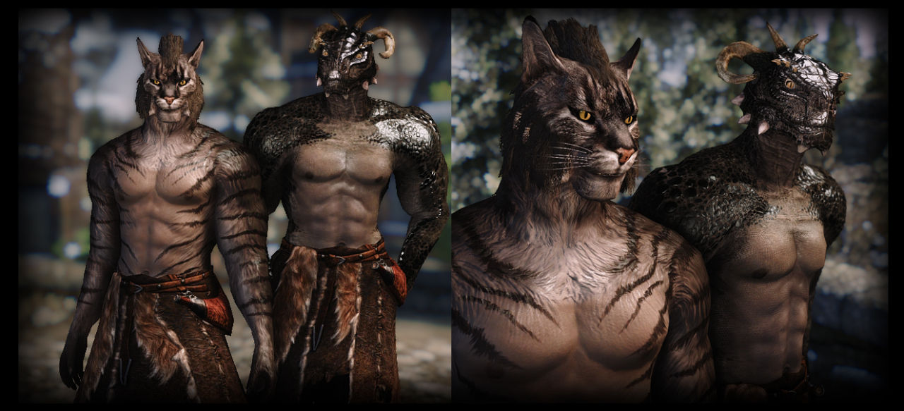 Iron-Scales ( Argonian ) and Cinder-Tail ( Khajiit ) Male Be