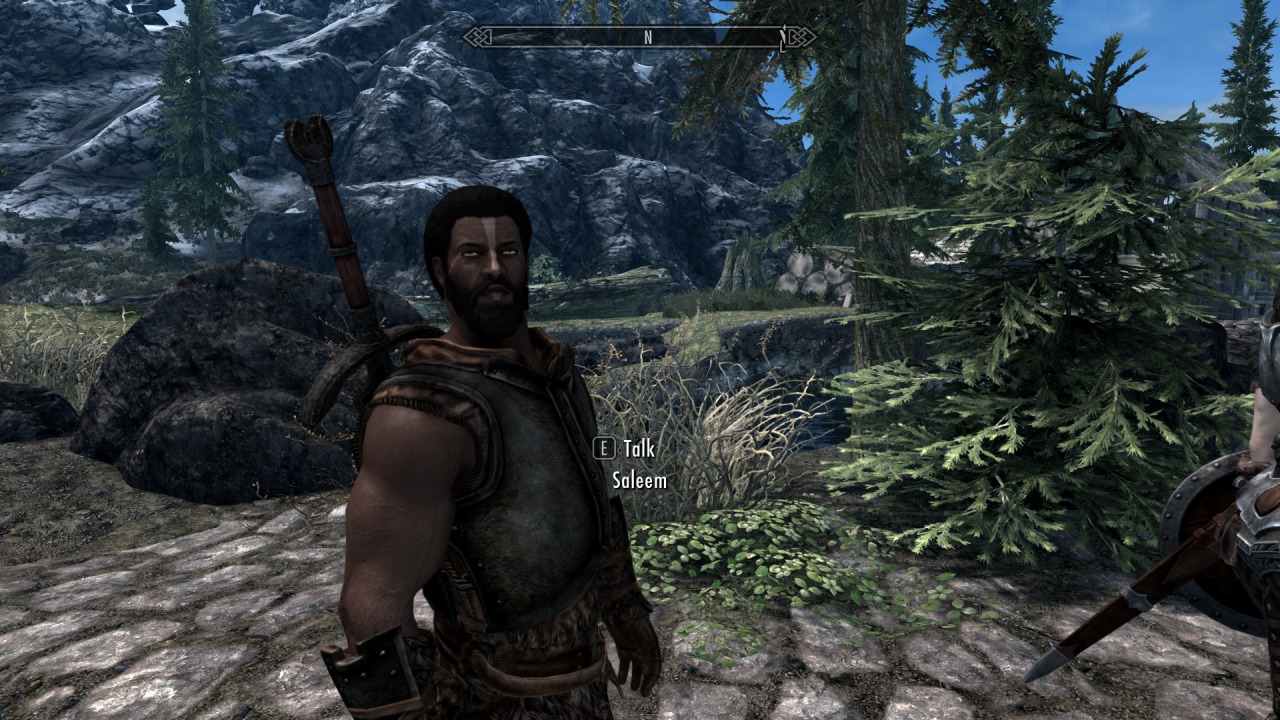 Saleem Male Redguard Follower フォロワー Skyrim Special Edition Mod データベース Mod紹介 まとめサイト