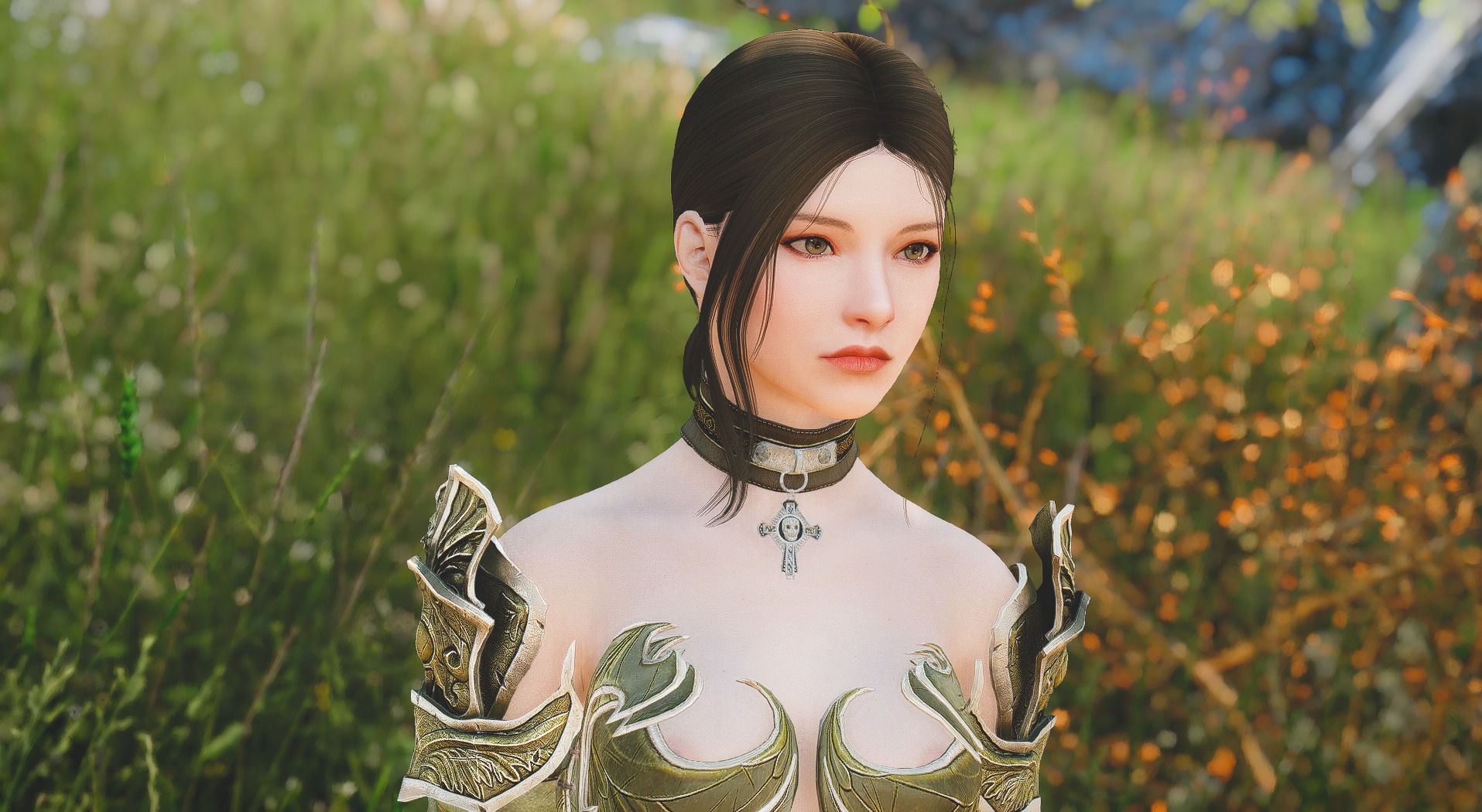 Racemenu special edition. Скайрим Elvina — High Poly RACEMENU preset.. Skyrim RACEMENU presets.