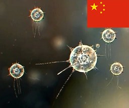 Luciferium craftable 简体中文翻译 1.5 - RimWorld Mod データベース MOD紹介・まとめサイト