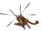 Faster Bugs Flies Insects - Bloatfly - Bloodbug - Stingwing クリーチャー・生き物 ...