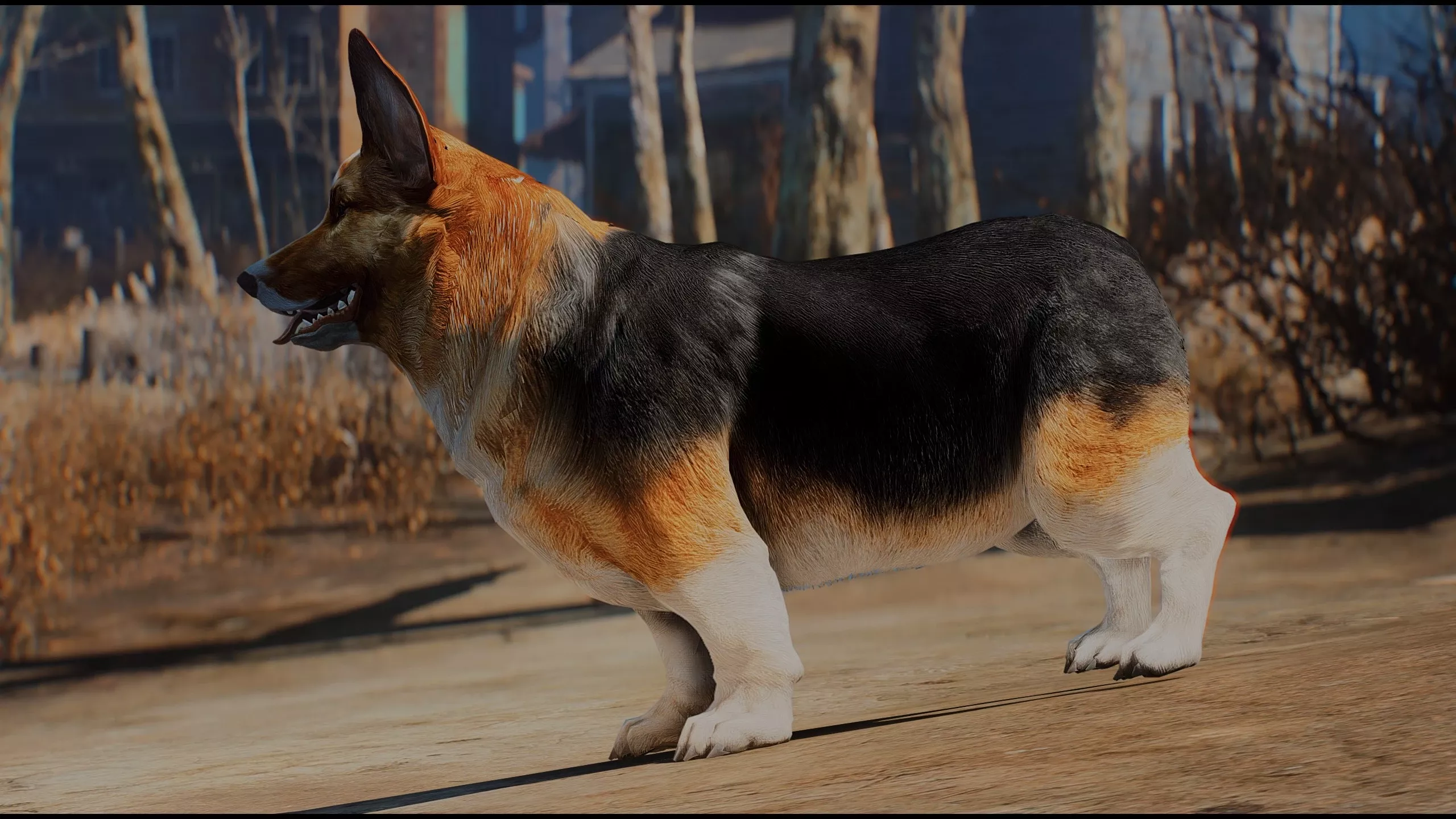 CORGMEAT - Dogmeat as Corgi and Other Breeds モデル・テクスチャ