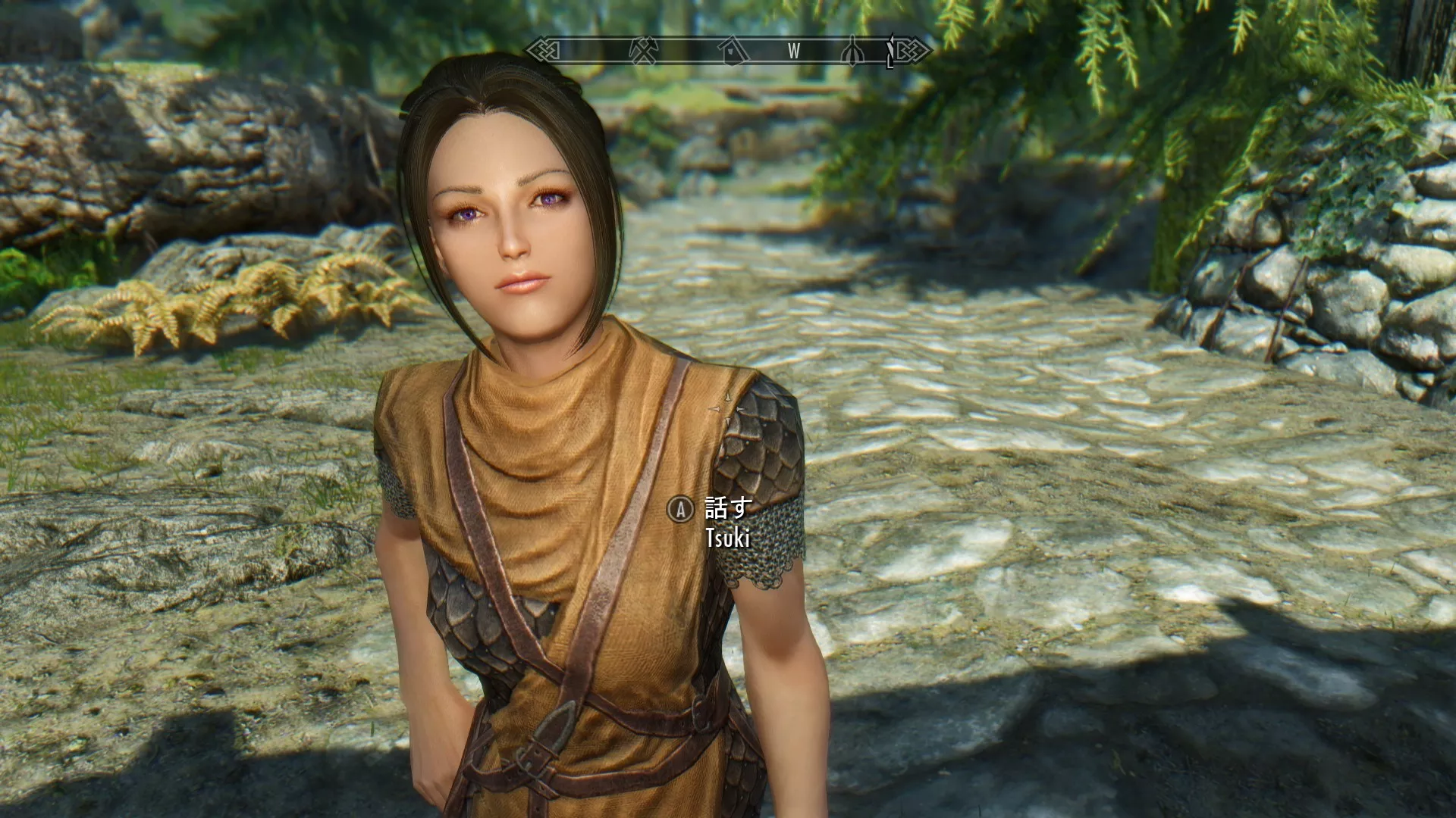 衛兵 おすすめMOD順 PAGE 11 - Skyrim Mod データベース