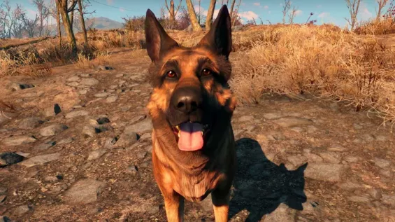Everyone's Best Friend (Dogmeat and Companion At Same Time - No