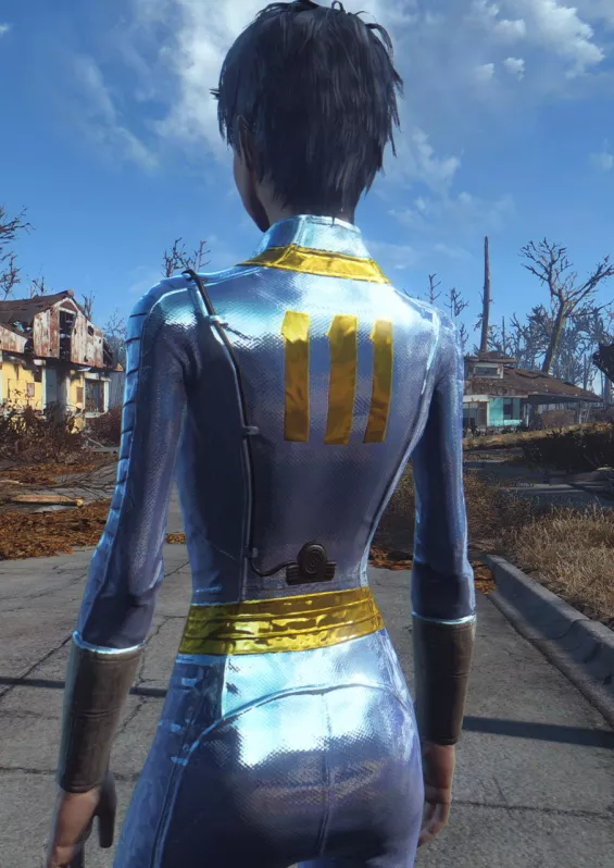 フォールアウトVRスキンセット キャラクタープリセット おすすめMOD順 - Fallout4 Mod データベース