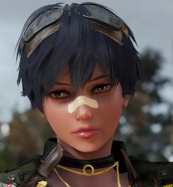 フォールアウトVRスキンセット フォールアウトVRスキンセット