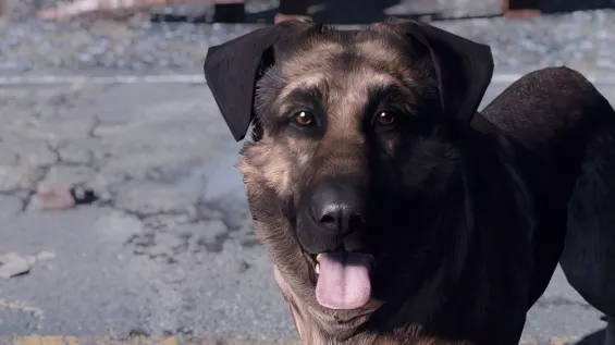 fallout4 ドッグミート リアルフィギュア♪② This Fallout 4 Dogmeat statue looks amazing | The Verge
