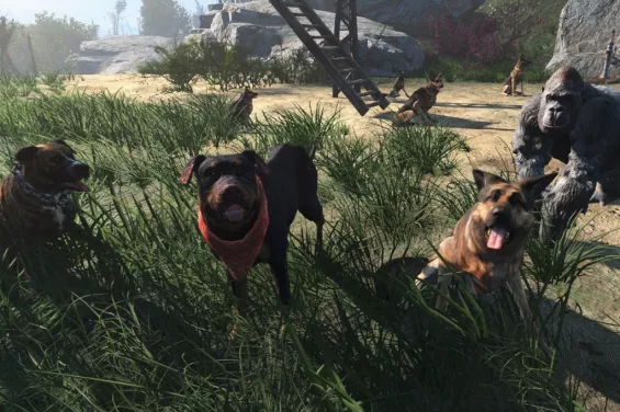 Craftable Dogs and other Animals 日本語化対応 居住地 - Fallout4 Mod データベース MOD紹介 ...