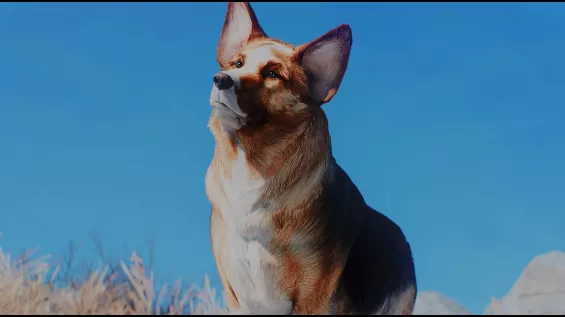 CORGMEAT - Dogmeat as Corgi and Other Breeds モデル・テクスチャ